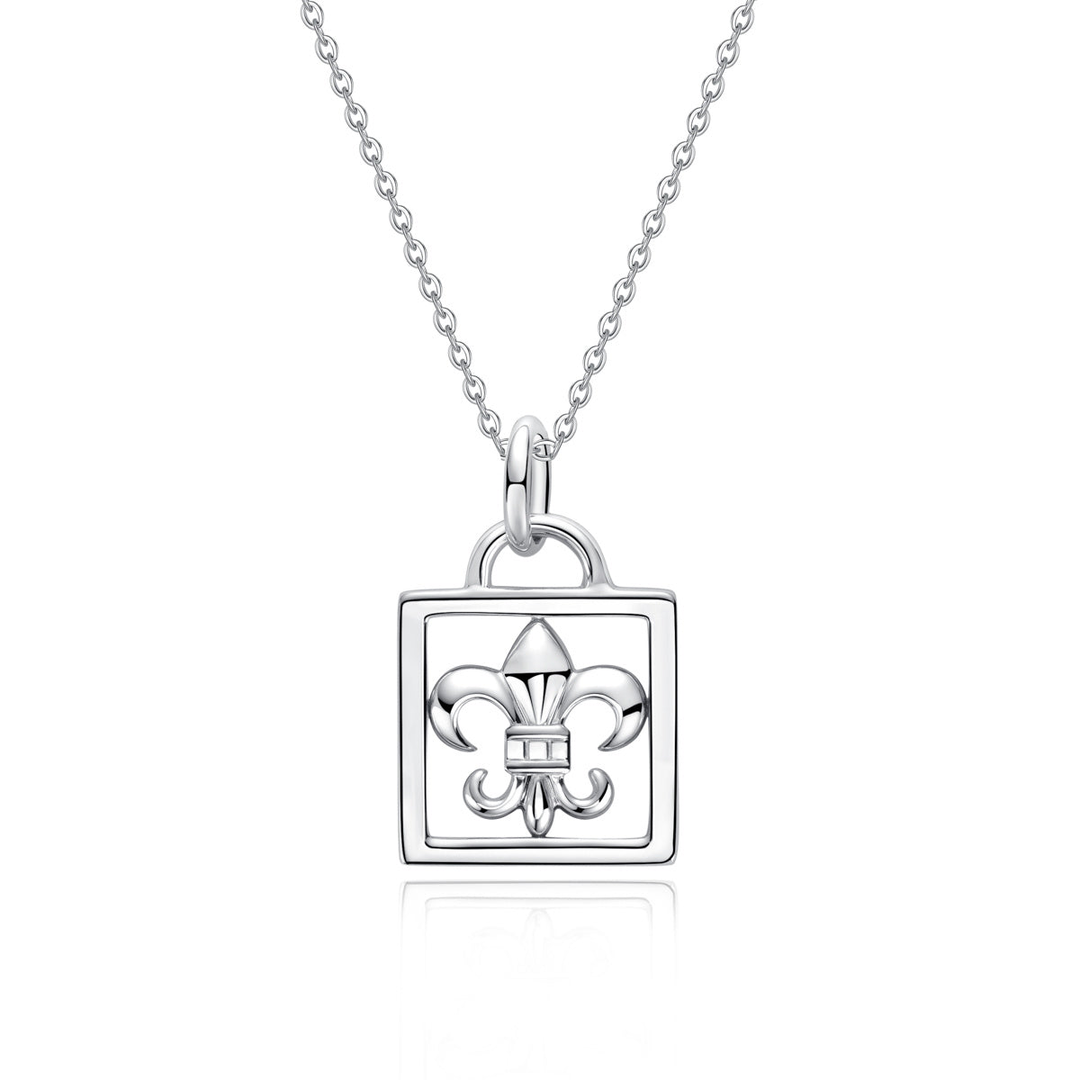 S925 Silver Moissanite Iris Lock Clavicle Chain Pendant