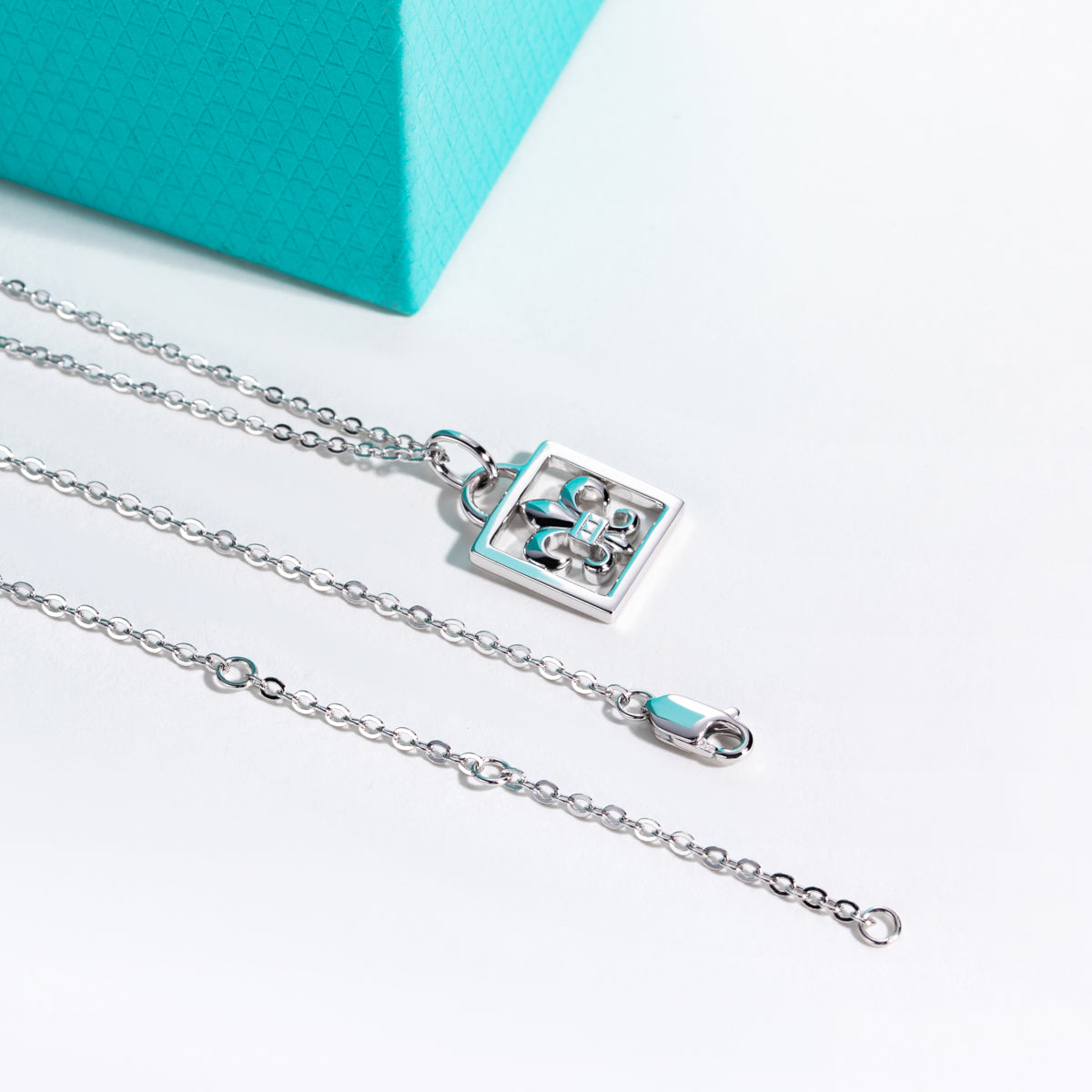 S925 Silver Moissanite Iris Lock Clavicle Chain Pendant