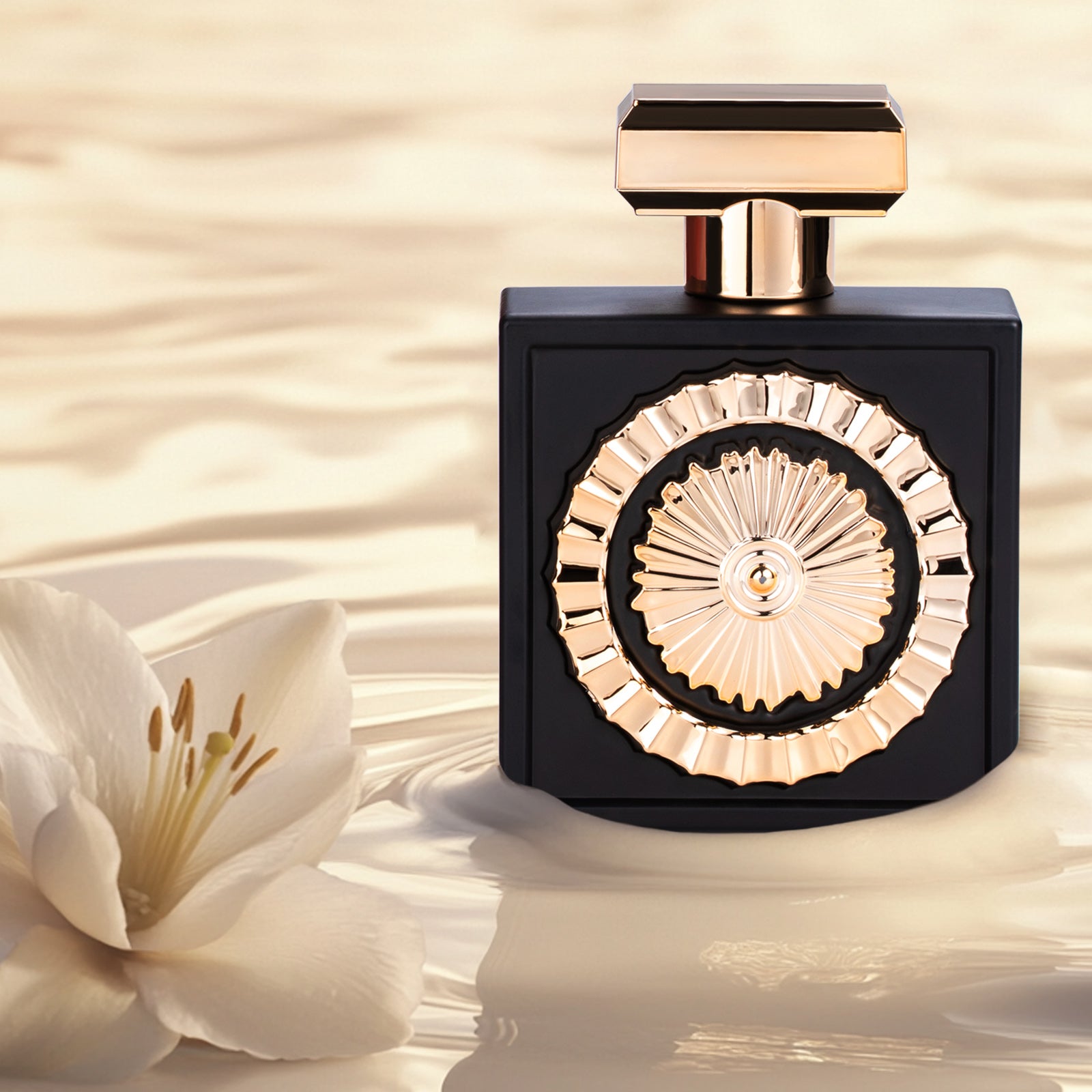 Arabian Luxury EDP Perfume for Men&Women, Musk Amber Oud Fragrance, 100ml