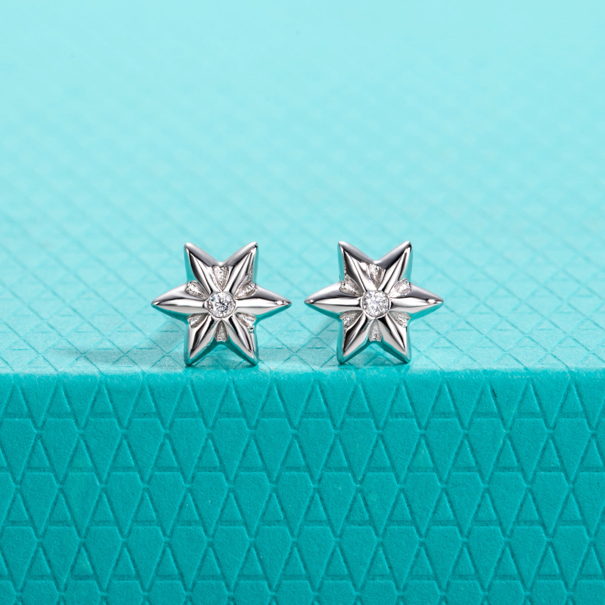 S925 Sterling Silver Moissanite Hexagram Stud Earrings