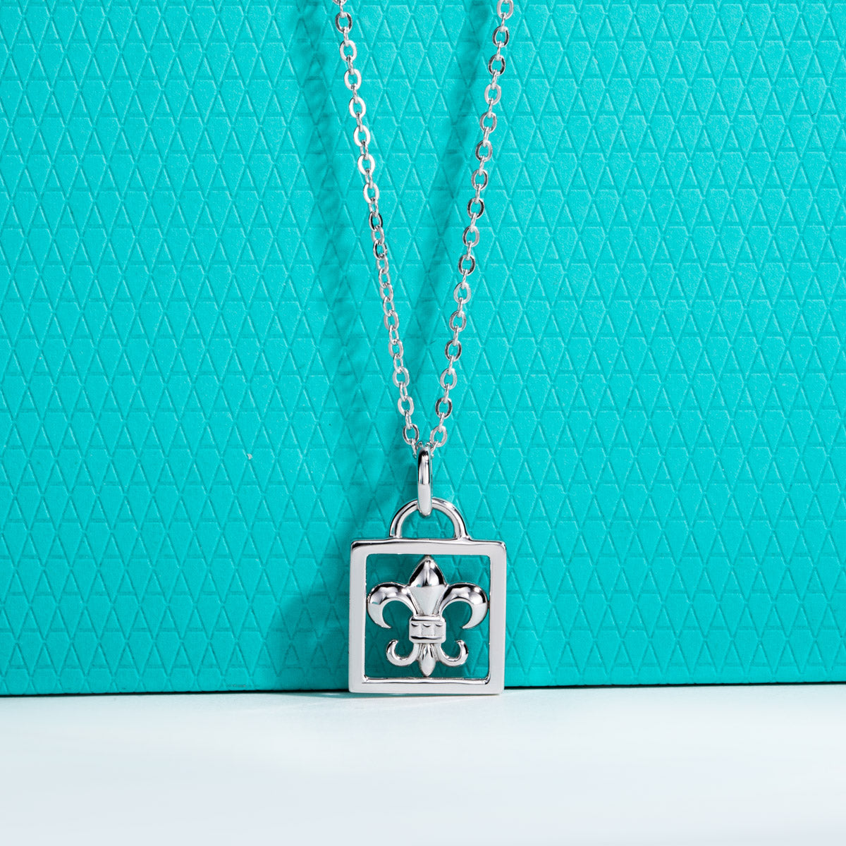 S925 Silver Moissanite Iris Lock Clavicle Chain Pendant