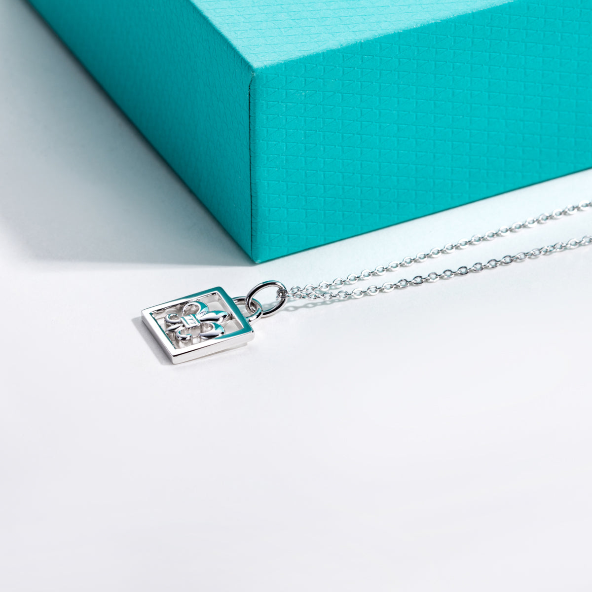 S925 Silver Moissanite Iris Lock Clavicle Chain Pendant
