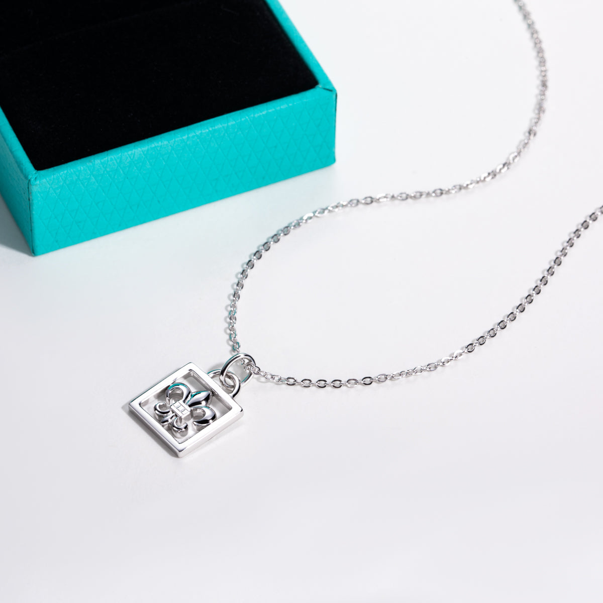 S925 Silver Moissanite Iris Lock Clavicle Chain Pendant