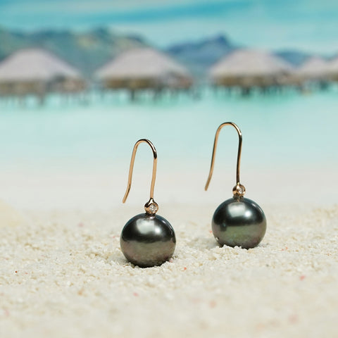 AnuClub 18K Tahitian Black Pearl Earrings